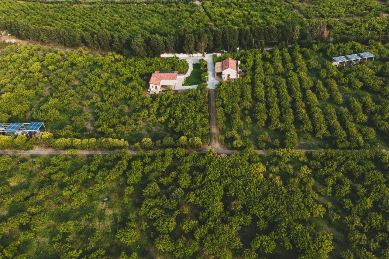 Il Limoneto Rooms Terme Vigliatore Eksteriør bilde