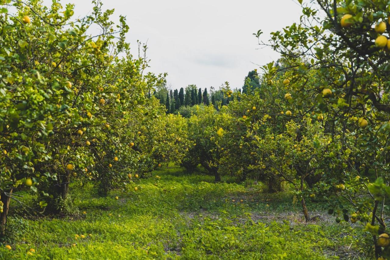Il Limoneto Rooms Terme Vigliatore Eksteriør bilde