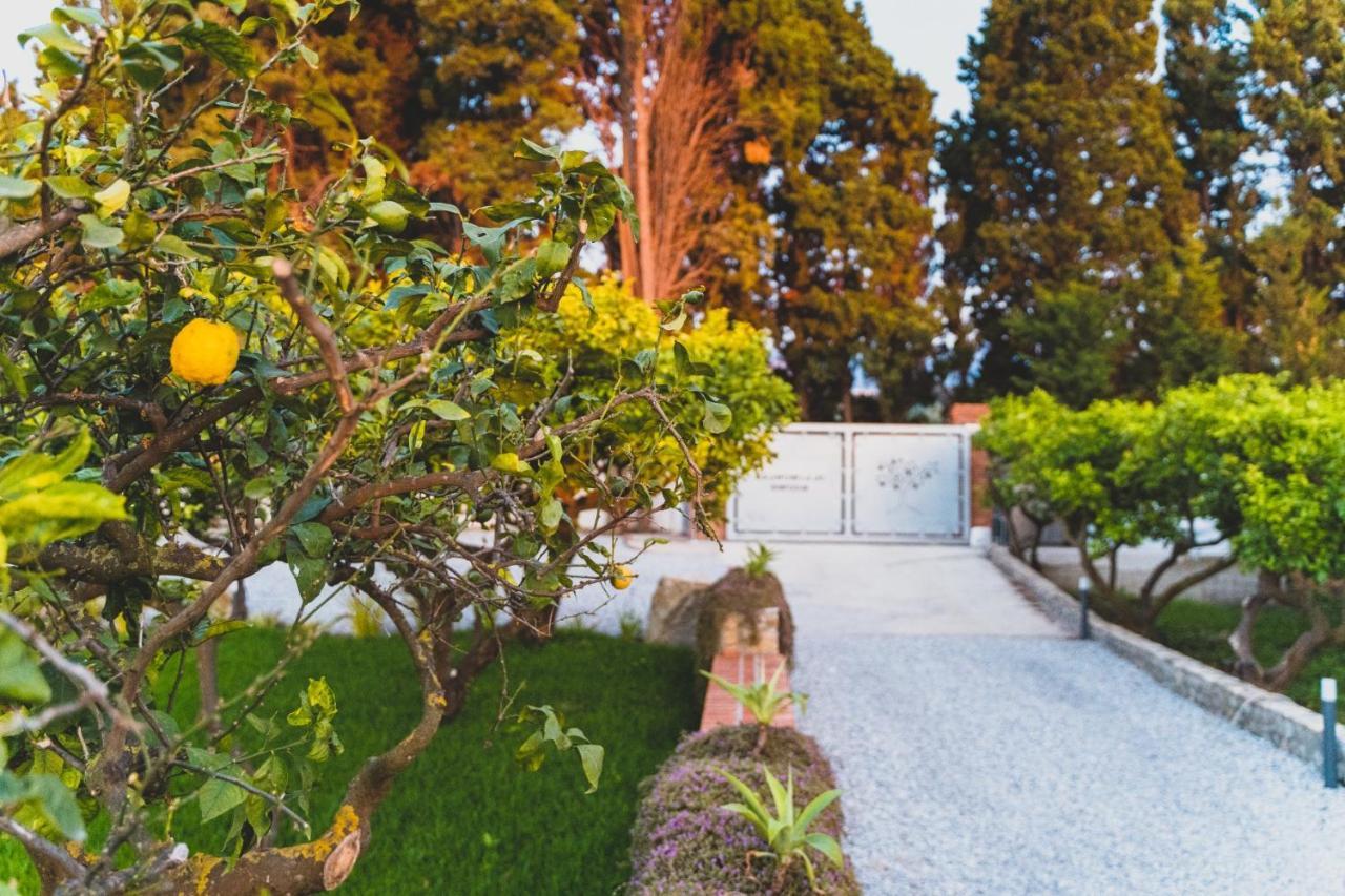 Il Limoneto Rooms Terme Vigliatore Eksteriør bilde